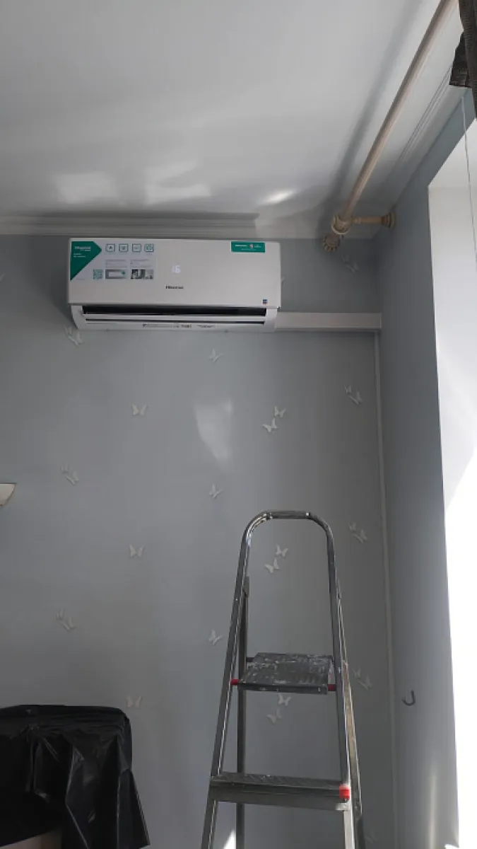 Hisense MZ-61296