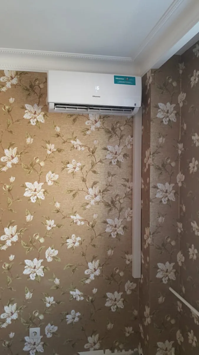 Hisense MZ-61295