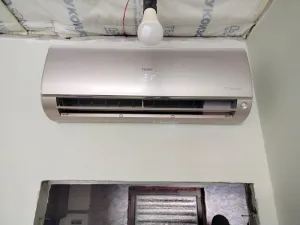 Haier MN-62391