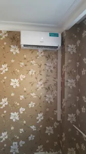 Hisense MZ-61295